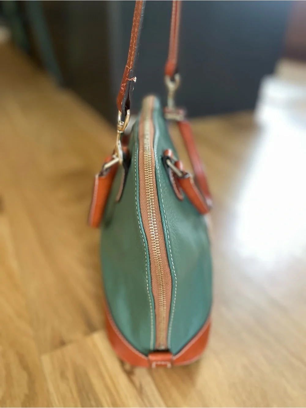 Dooney & Bourke Green Leather Satchel with Brown Trim and Gold Plate